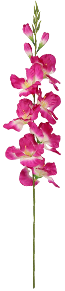Kwiat sztuczny gladiola 77cm widok 1