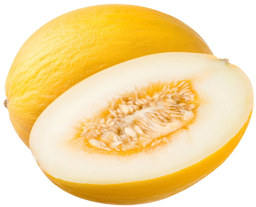 Melon kg widok główny