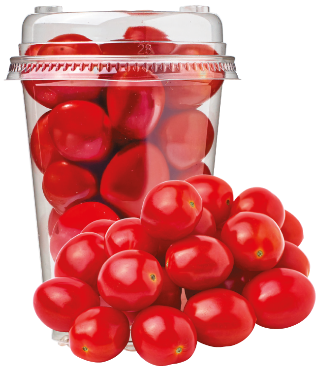 Pomidor daktylowy shaker 270g szt widok główny