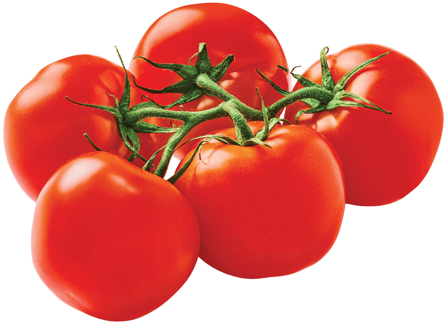 Pomidor kg widok główny