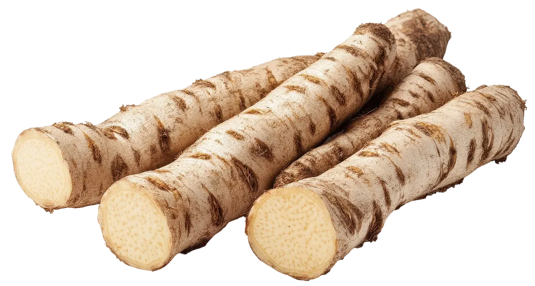 Chrzan korzeń kg widok 1