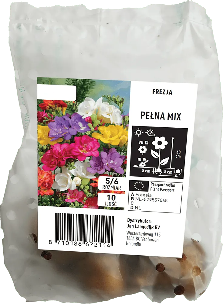 Cebula kwiatowa Frezja Pełna mix 10szt widok 1