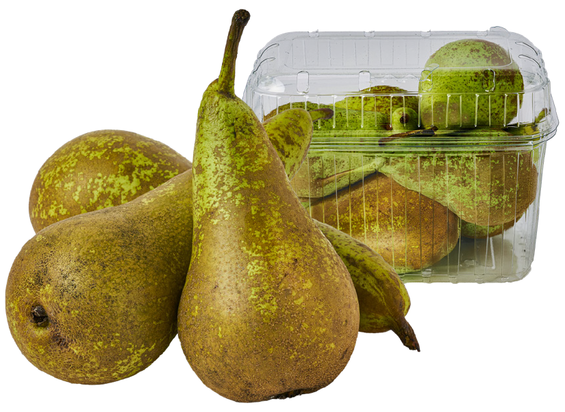 Gruszka 1kg szt widok główny