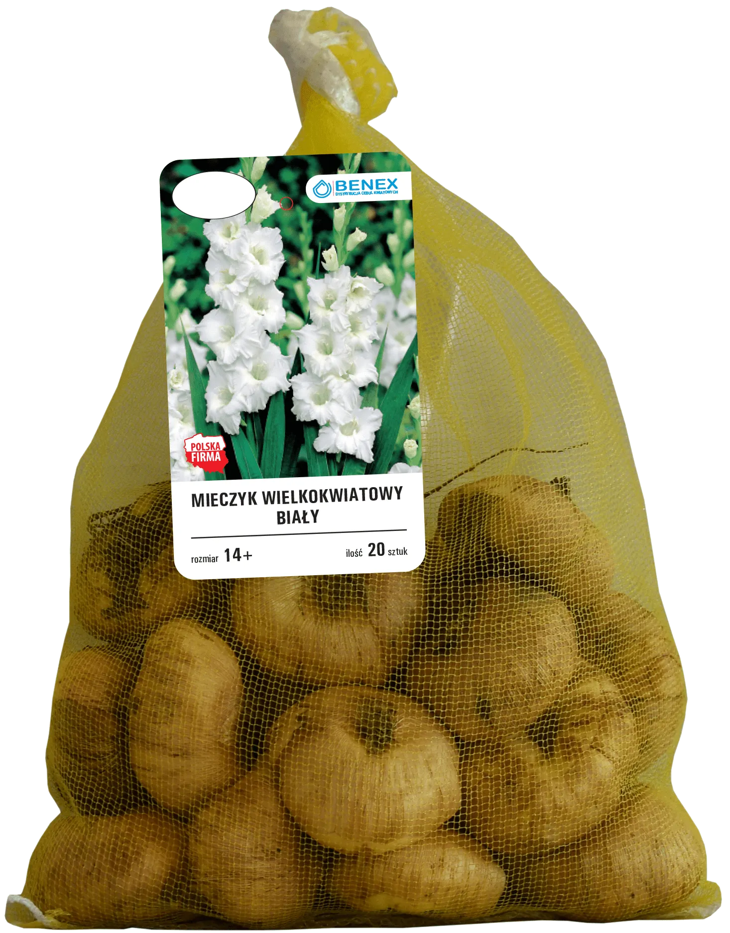 Cebula kwiatowa Mieczyk wielokwiat. mix 20szt widok 1