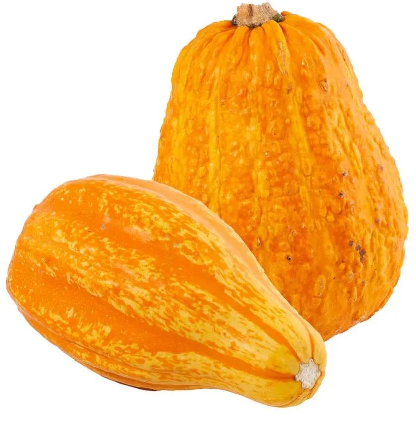 Dynia ozdobna kg widok 1