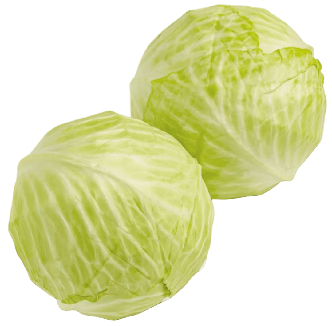 Kapusta biała kg widok 1