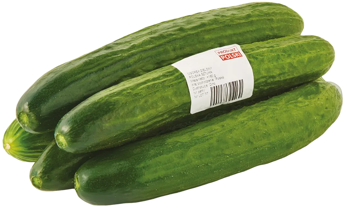 Ogórek zielony polski widok główny 
