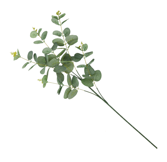 Gałązka eukaliptus 64cm WŚ26 widok 1