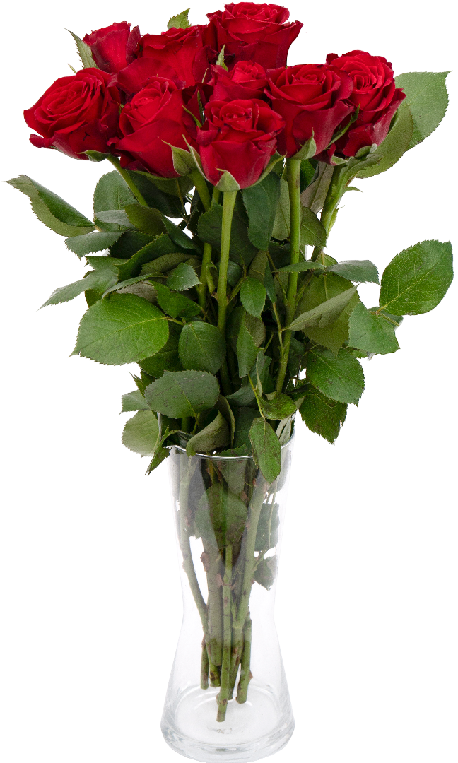 Kwiat bukiet Róża 40cm 11szt widok główny