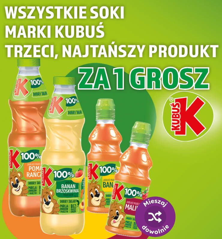 MODUŁ_KUBUŚ