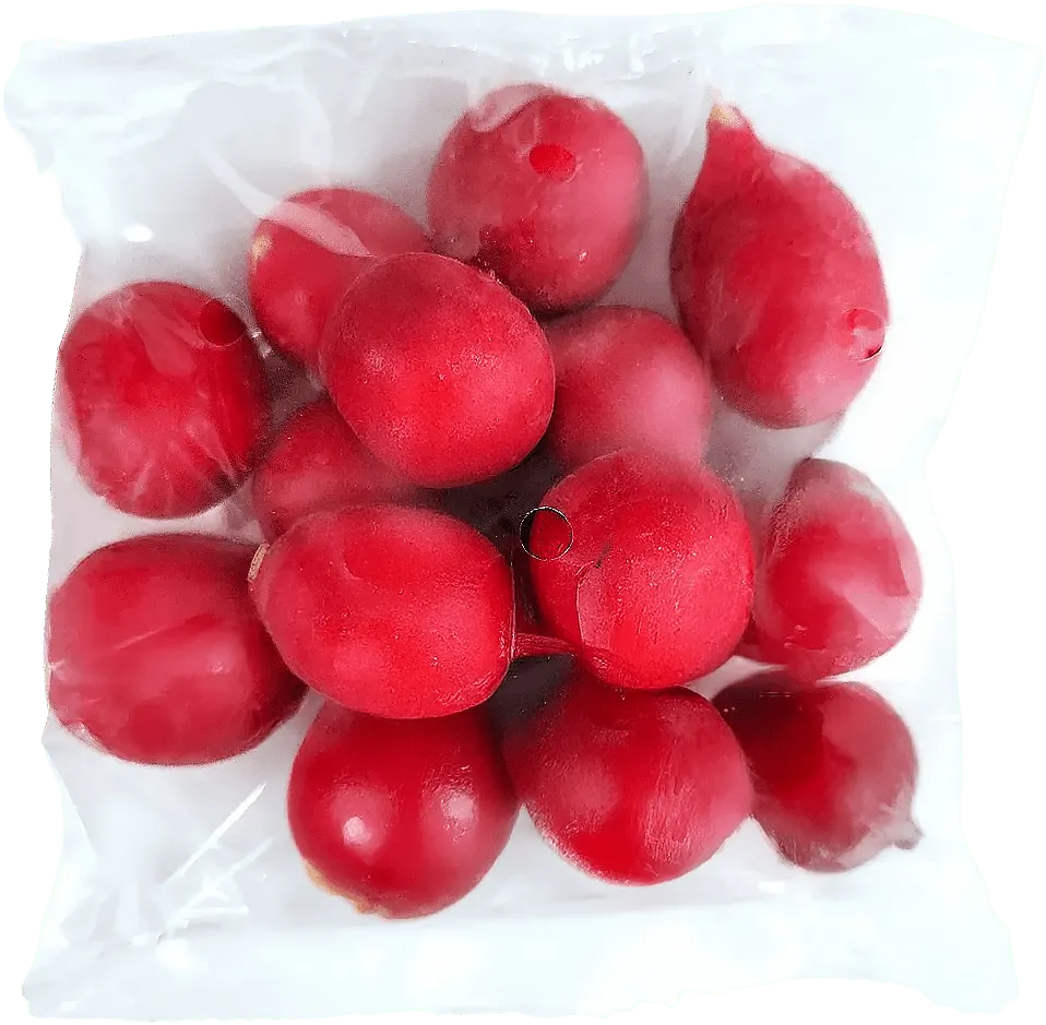 Rzodkiewka widok główny 