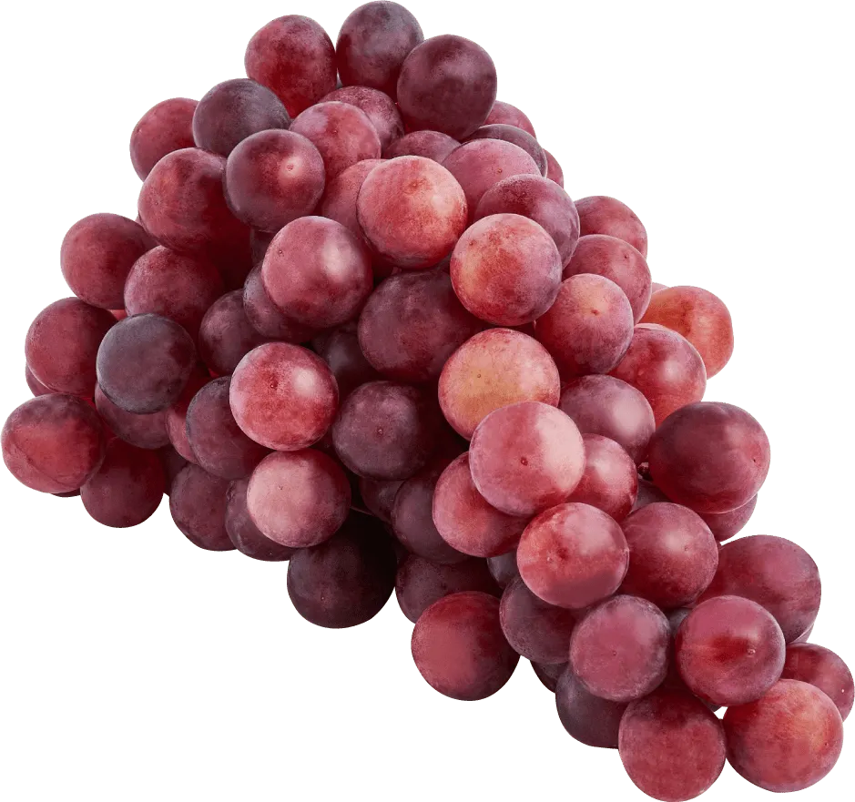 Winogrono ciemne widok główny 