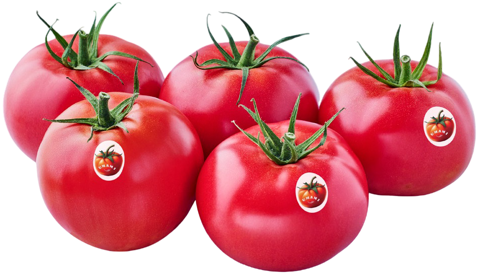 Pomidor malinowy Polski widok 1