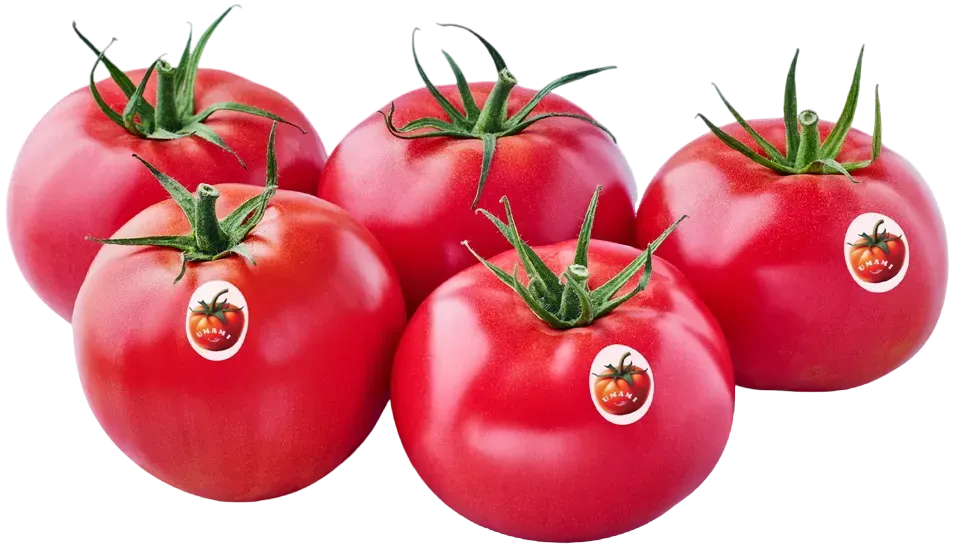 Pomidor malinowy Polski kg widok 1