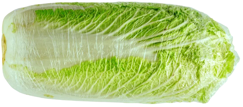 Kapusta pekińska widok 1