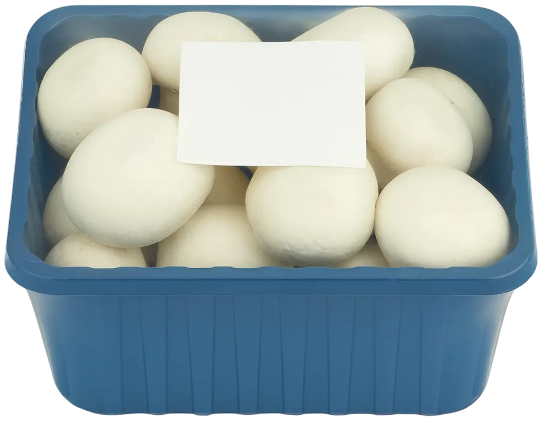 Pieczarki 500g szt widok 1