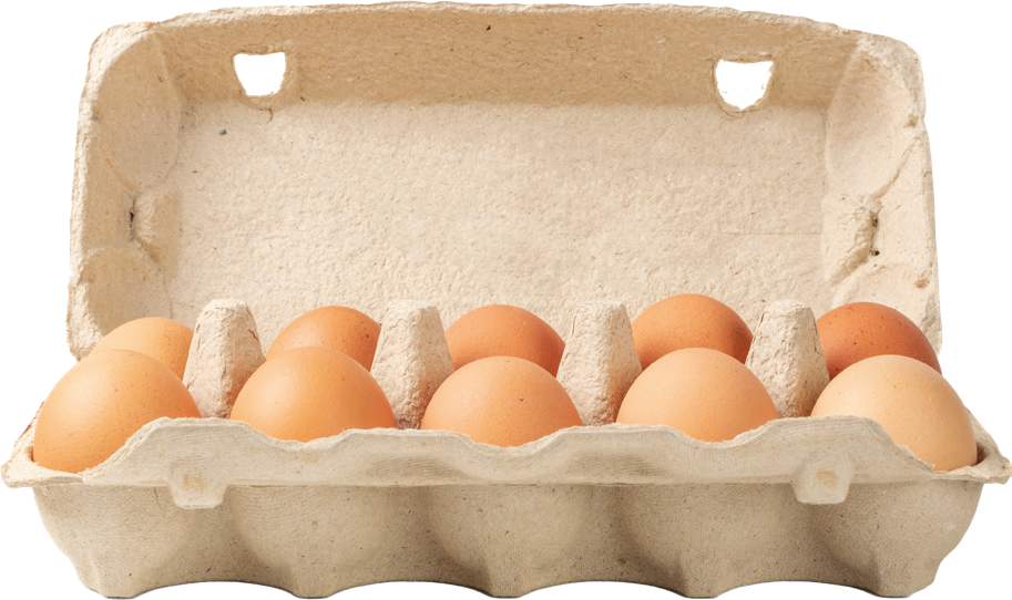 Jaja świeże L ściółkowe 10szt widok 1