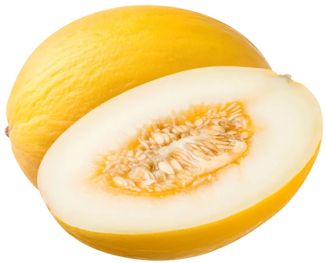 Melon widok 1