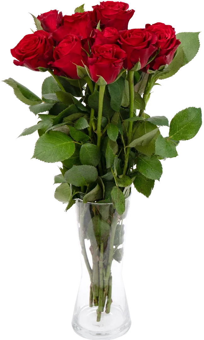 Strona https://api.marketdino.pl/media/filer_public/47/3f/473ff9cb-ba96-4609-89b2-b8f277ec562b/5713081001815-3.webp