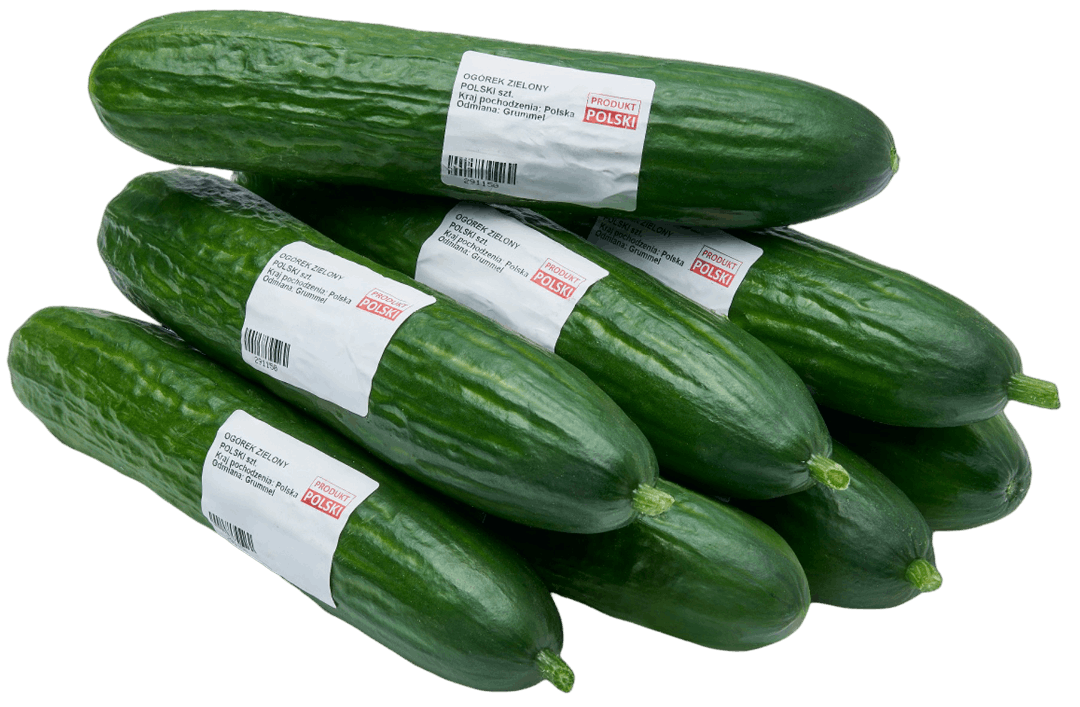 Ogórek zielony Polski szt widok 1