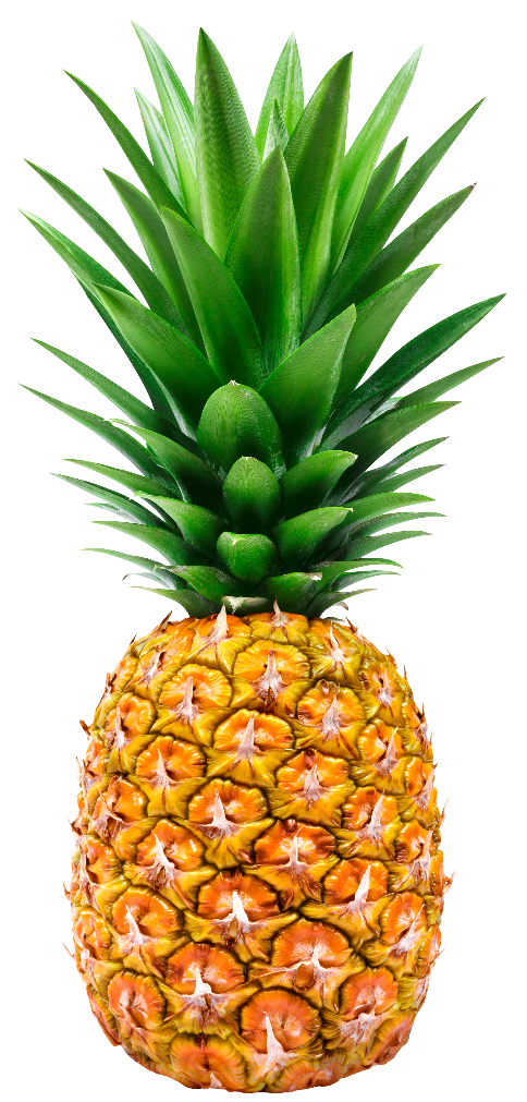 Ananas widok 1