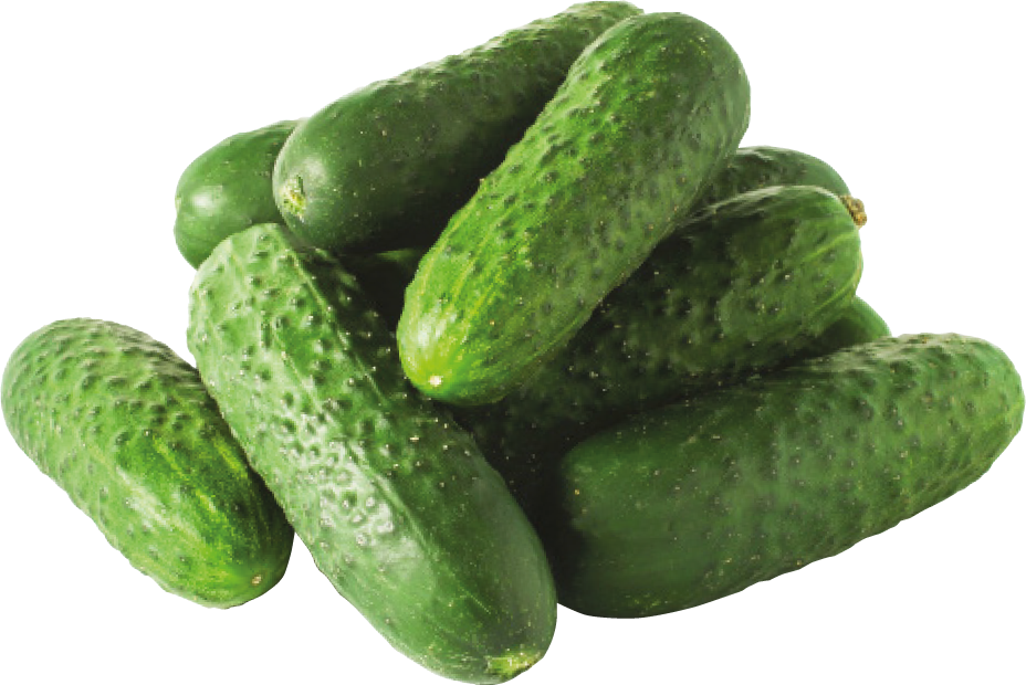 Ogórek gruntowy kg widok główny 