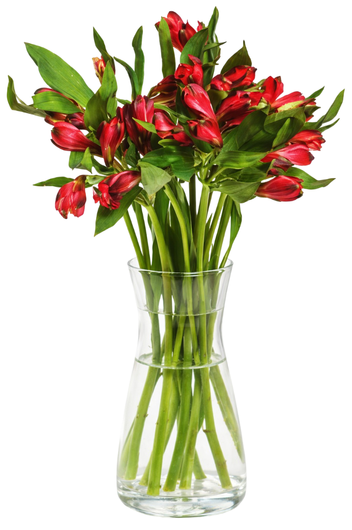 Kwiat bukiet Alstromeria 7szt widok główny