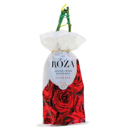 Krzew Róża pachnąca czerwona balot szt widok 1