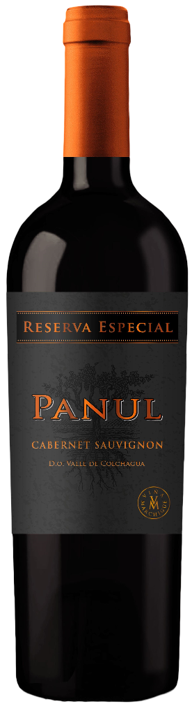 Wino W cz. Panul Reserva Esp Cab Sauv. 0,75l 13,5% widok główny