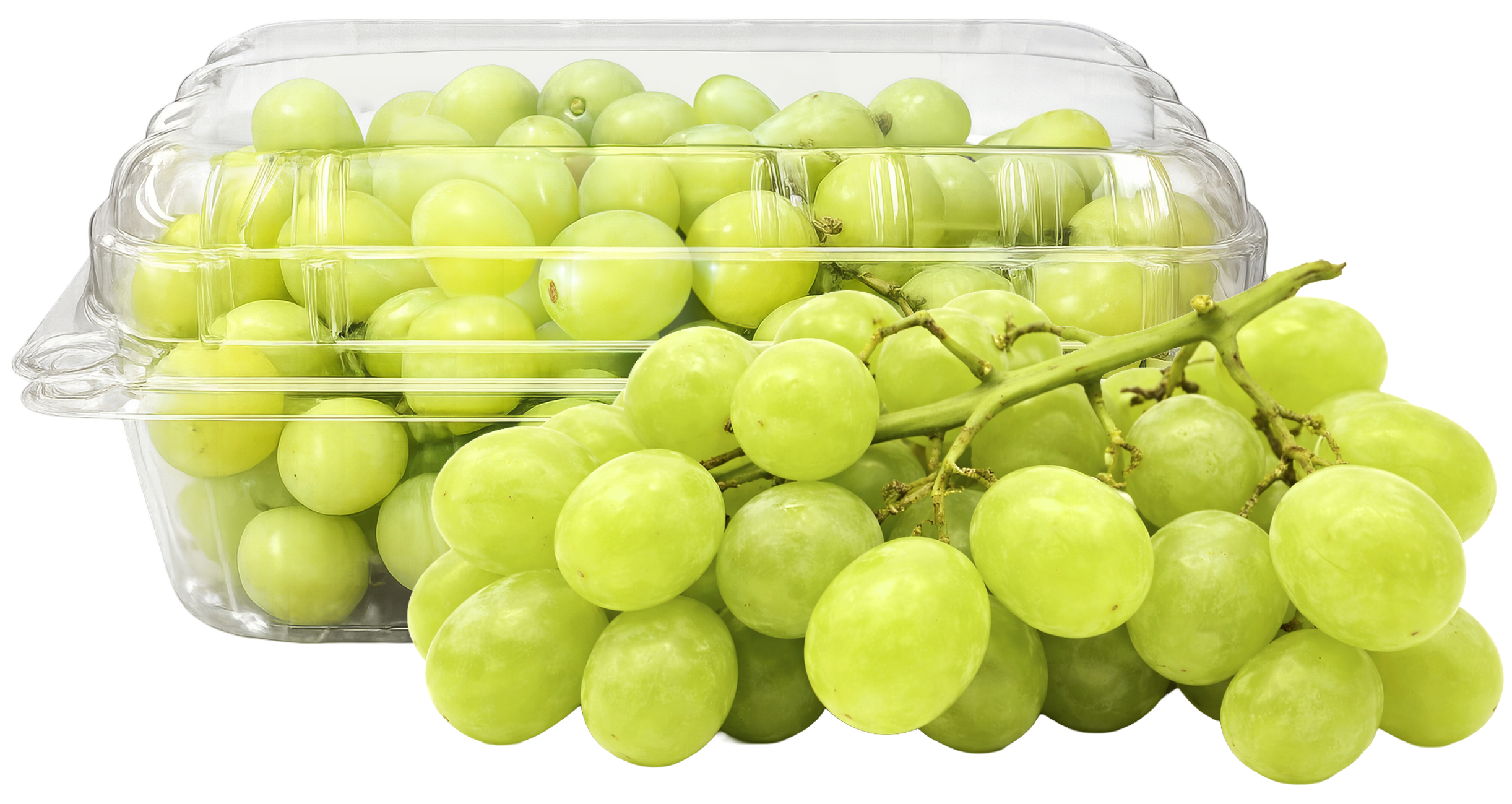 Winogrono jasne bezpestkowe widok 1