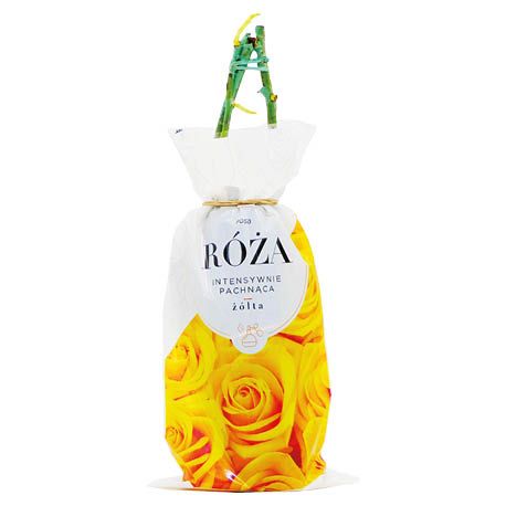 Krzew Róża wielkokwiatowa żółta balot szt. widok 1