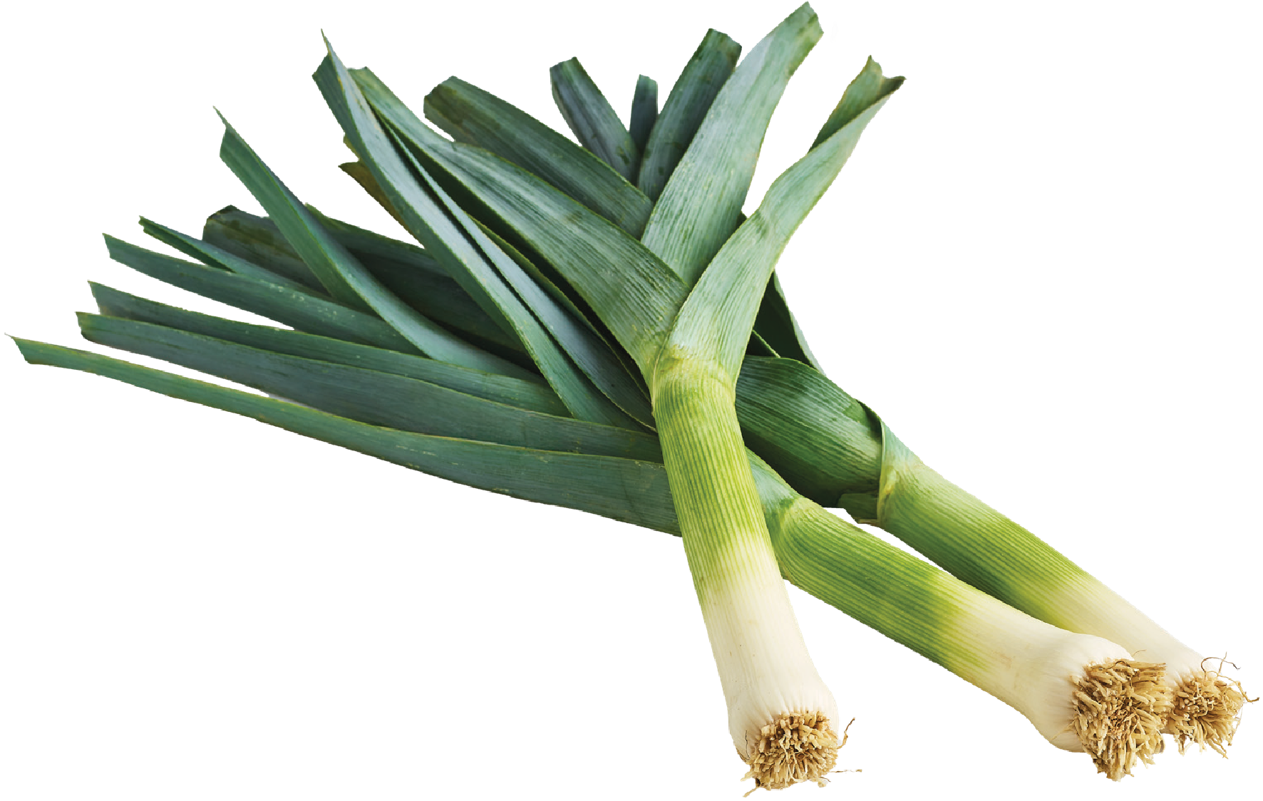 Por szt widok główny 