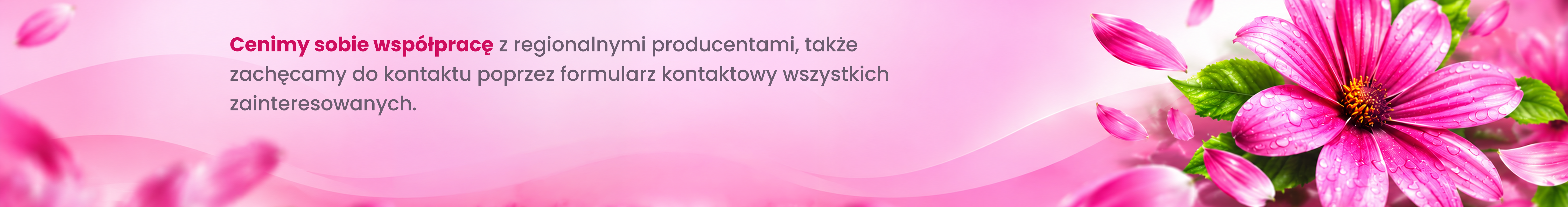 Skontaktuj się z nami