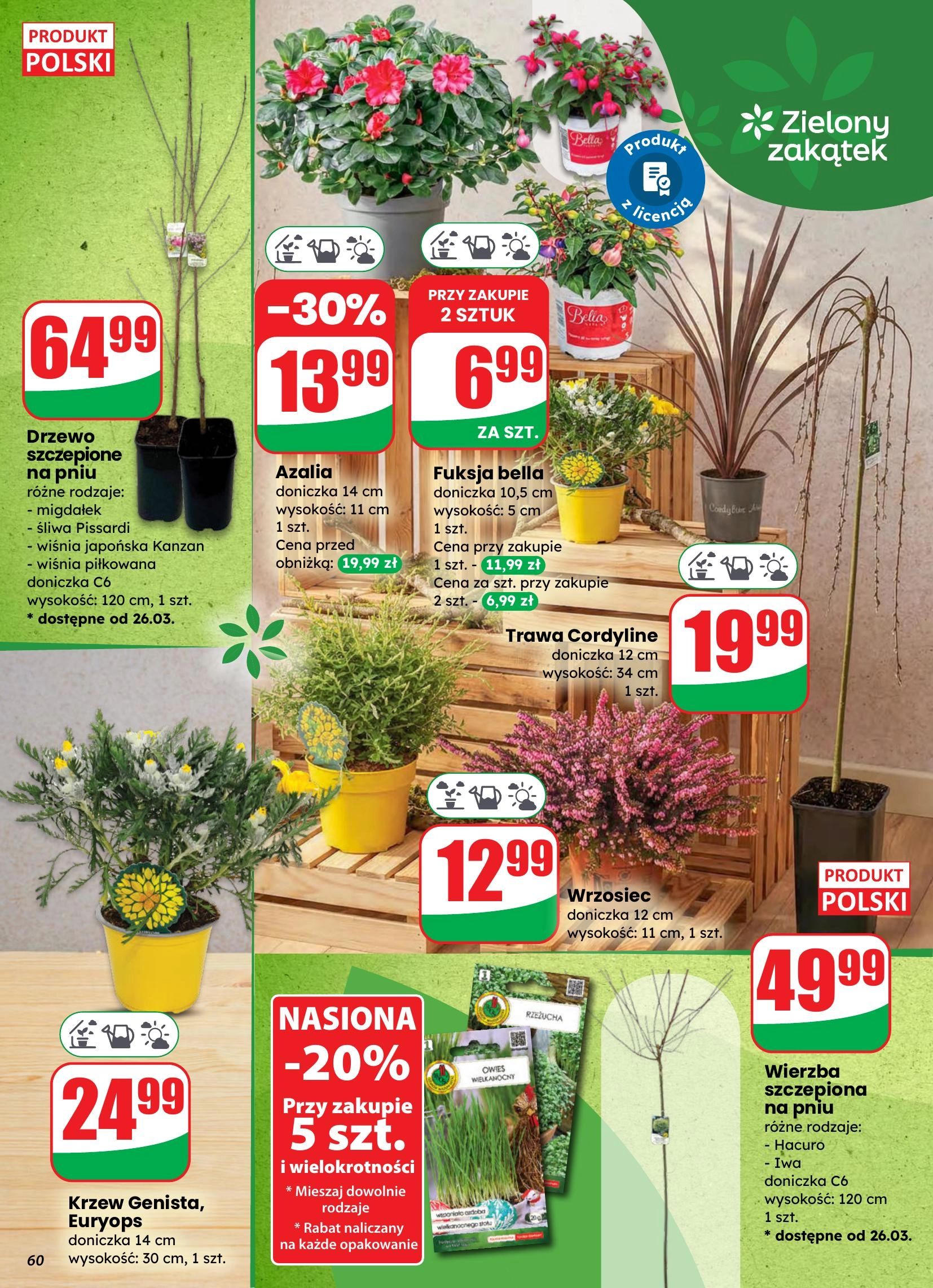 Strona https://api.marketdino.pl/media/filer_public/65/fc/65fcef22-e4e5-4521-81ea-fabede3fa67c/60.webp