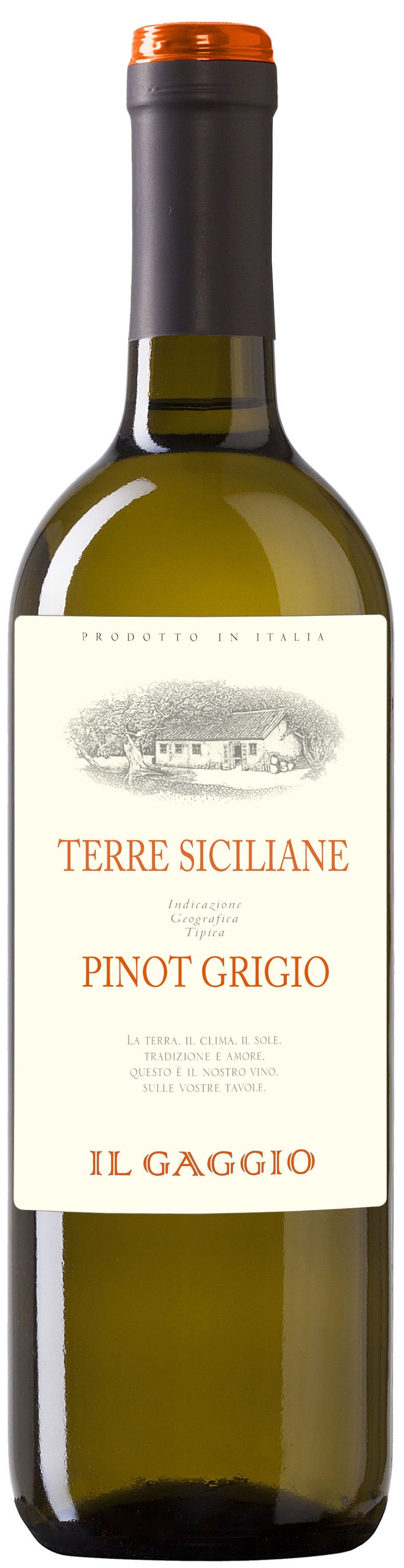 Wino W b. Pinot Griogio IL Gaggio 0,75l 12% widok 1