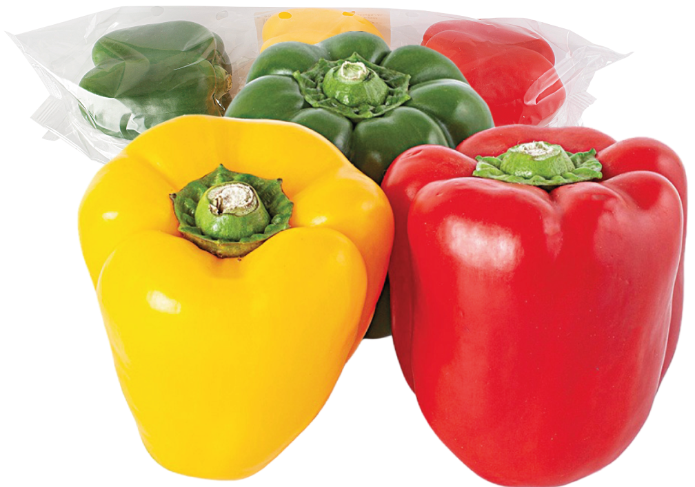 Papryka mix trikolor widok 1