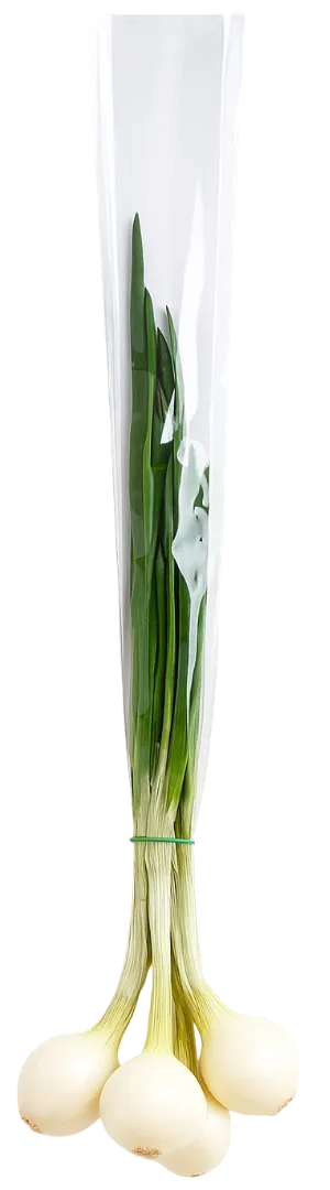 Cebula ze szczypiorkiem widok 1