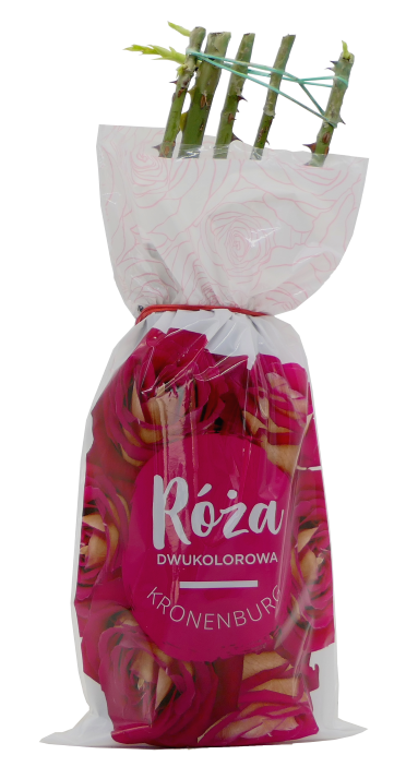 Krzew Róża dwukolorowa Kronenburg balot szt. widok 1