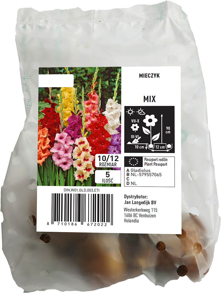 Cebula kwiatowa Mieczyk mix 5szt widok 1