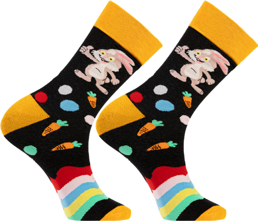 Skarpety damskie/męskie mix WN26 widok główny 