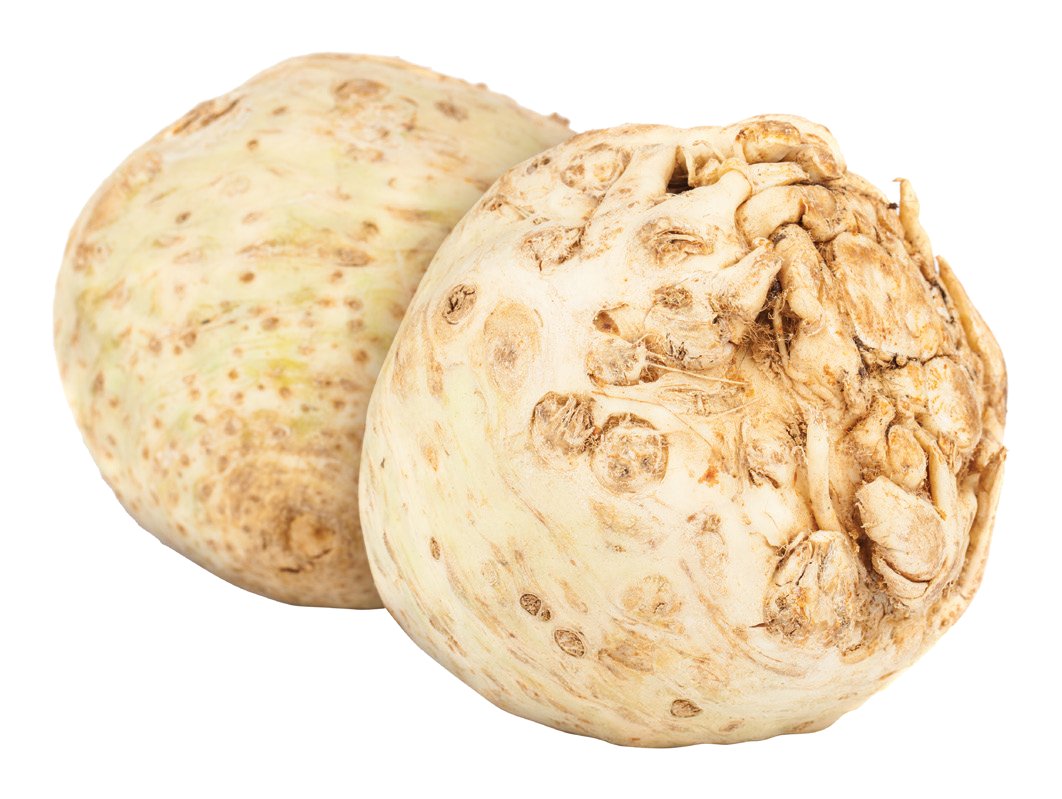 Seler kg widok główny 