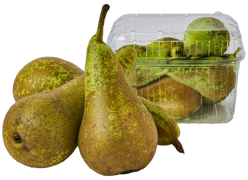 Strona https://api.marketdino.pl/media/filer_public/88/36/8836c7cd-64a2-46ad-b84b-68a53822b6d4/298185.webp