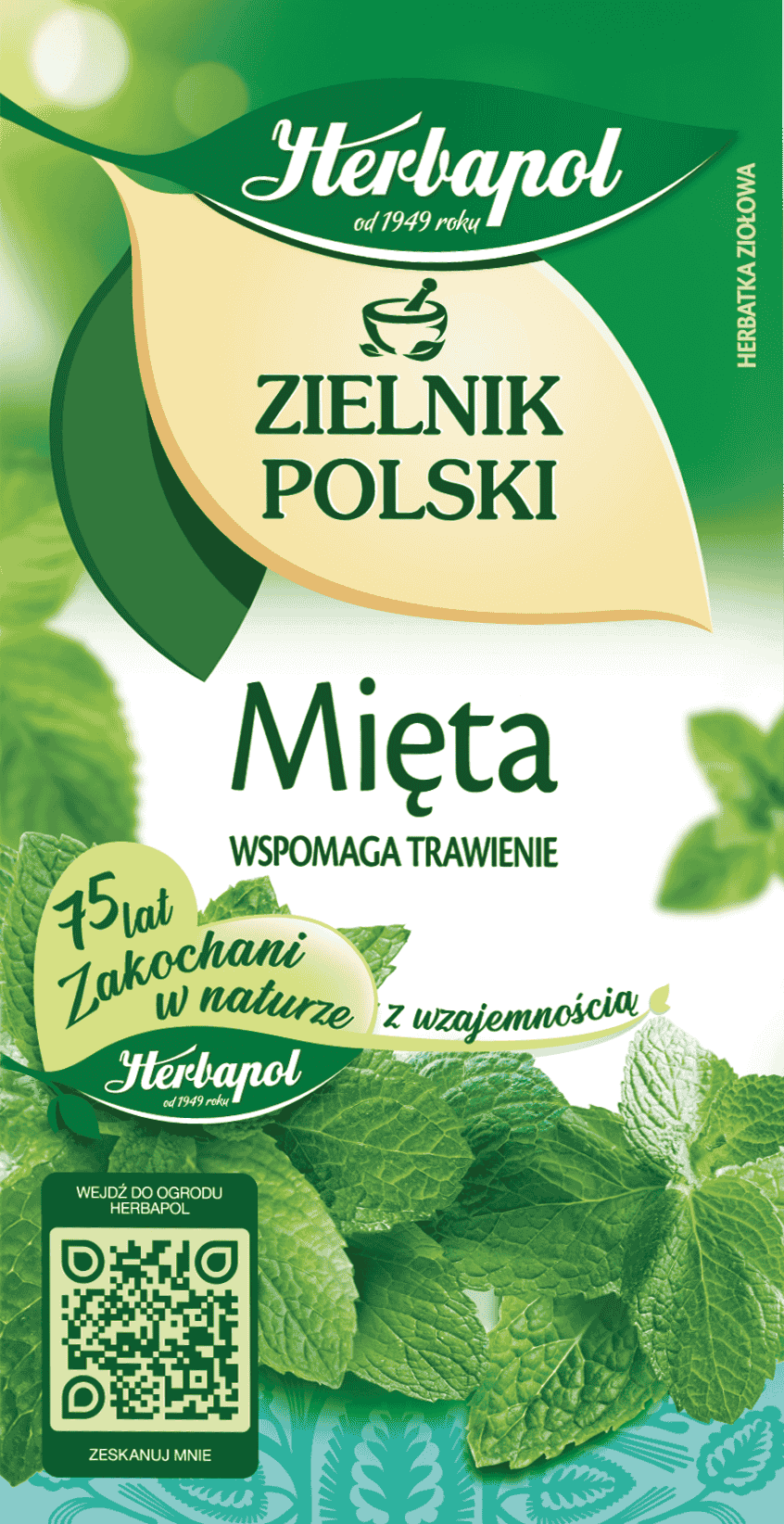 Herbatka ziołowa mięta Zielnik Polski 20x2g widok 1