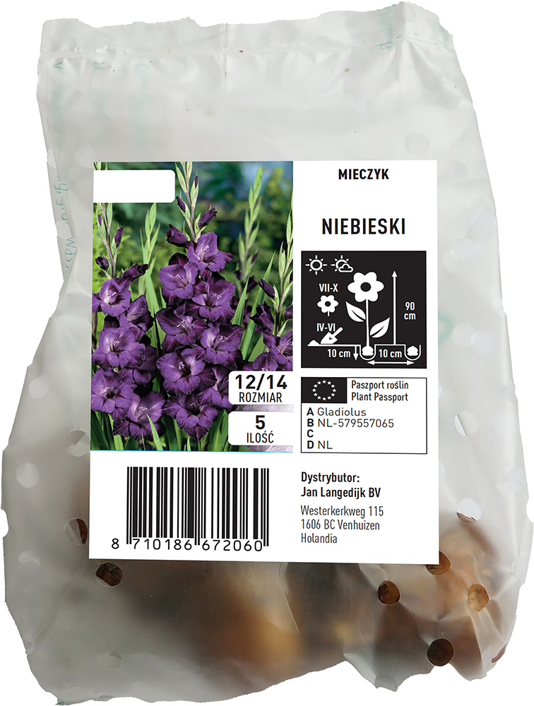 Cebula kwiatowa Mieczyk niebieski 5szt widok 1