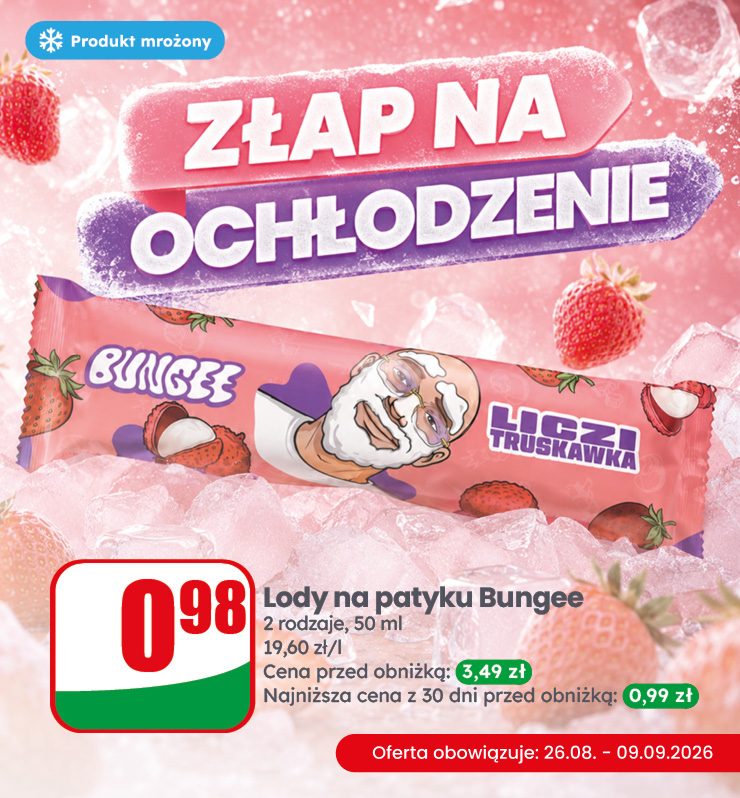 MODUŁ_LODY_BUNGEE_MOBILE