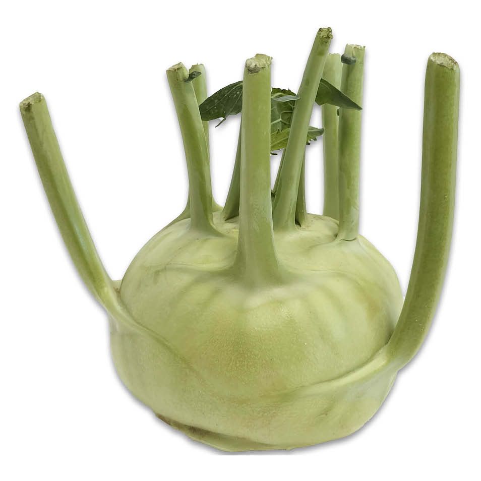 Kalarepa widok główny 