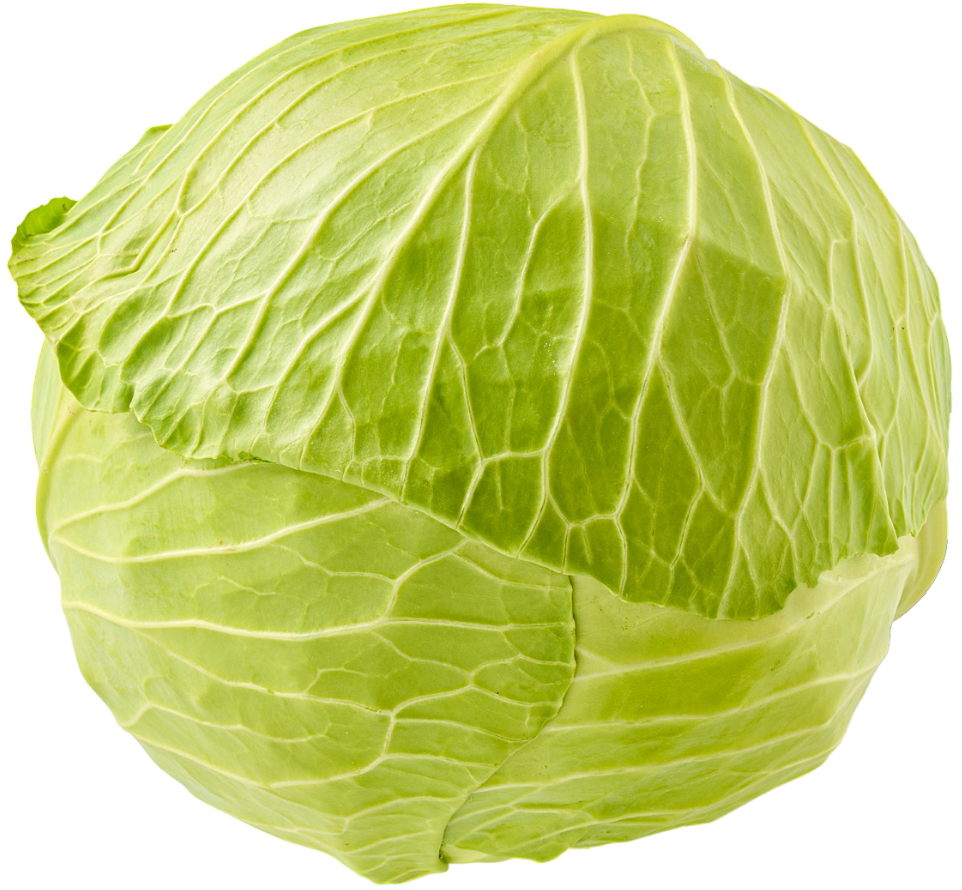 Kapusta biała kg widok główny 