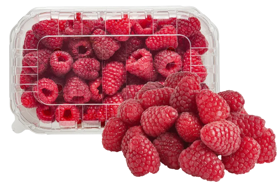 Malina Polska 250g szt widok główny
