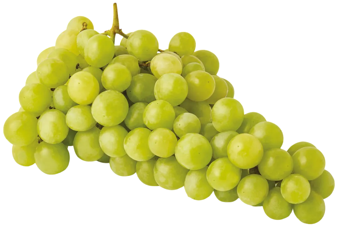 Winogrono jasne widok 1