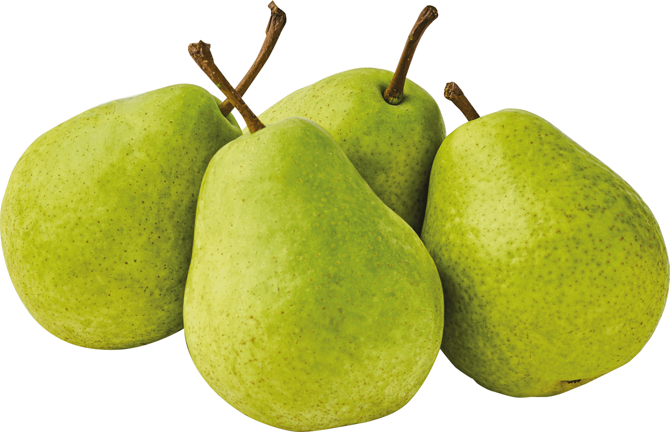 Gruszka kg widok główny